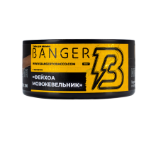 Табак для кальяна Banger Evergreen 100 гр