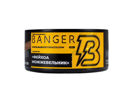 Табак для кальяна Banger Evergreen (Бенгер Можжевельник Фейхоа) 100 гр